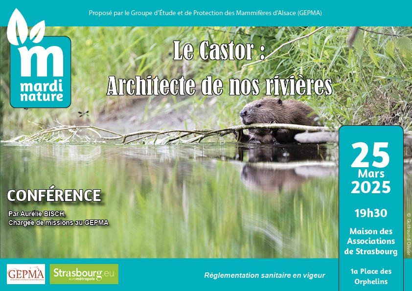 Conf\u00e9rence Mardi Nature: Le Castor, architecte de nos rivi\u00e8res