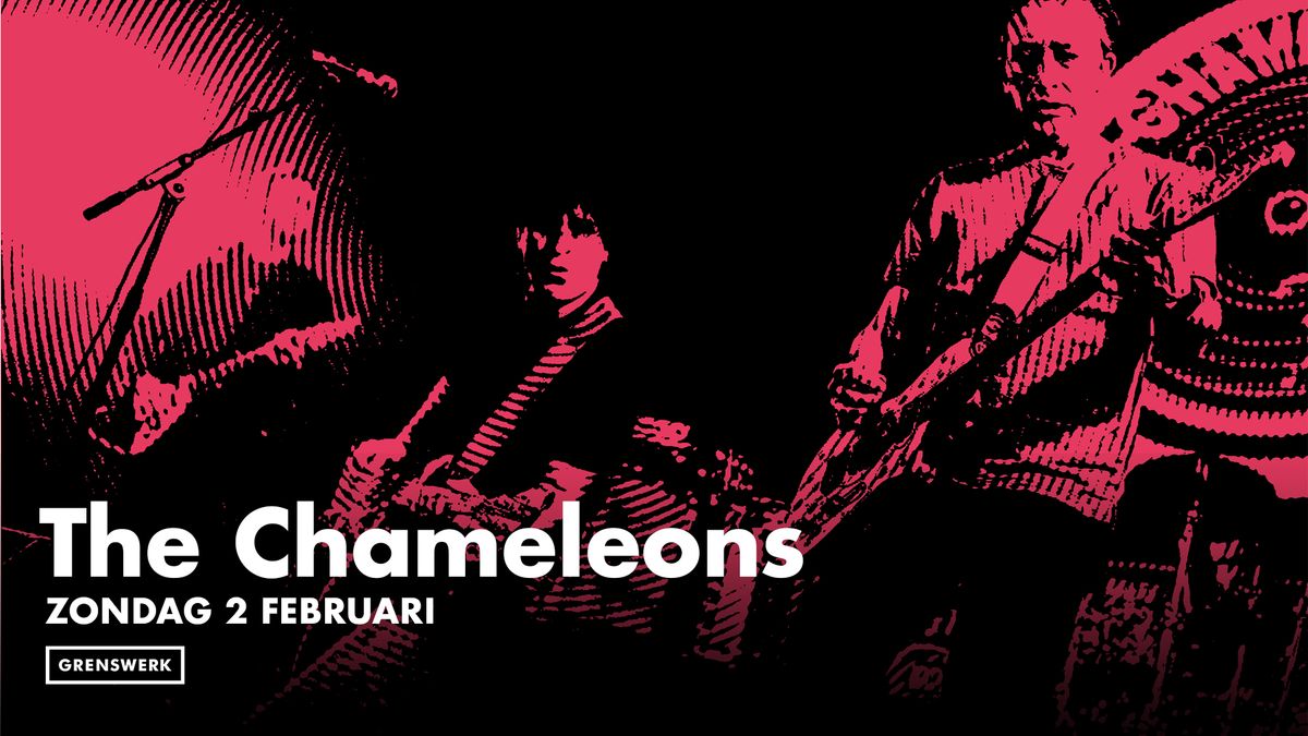 The Chameleons in Poppodium Grenswerk