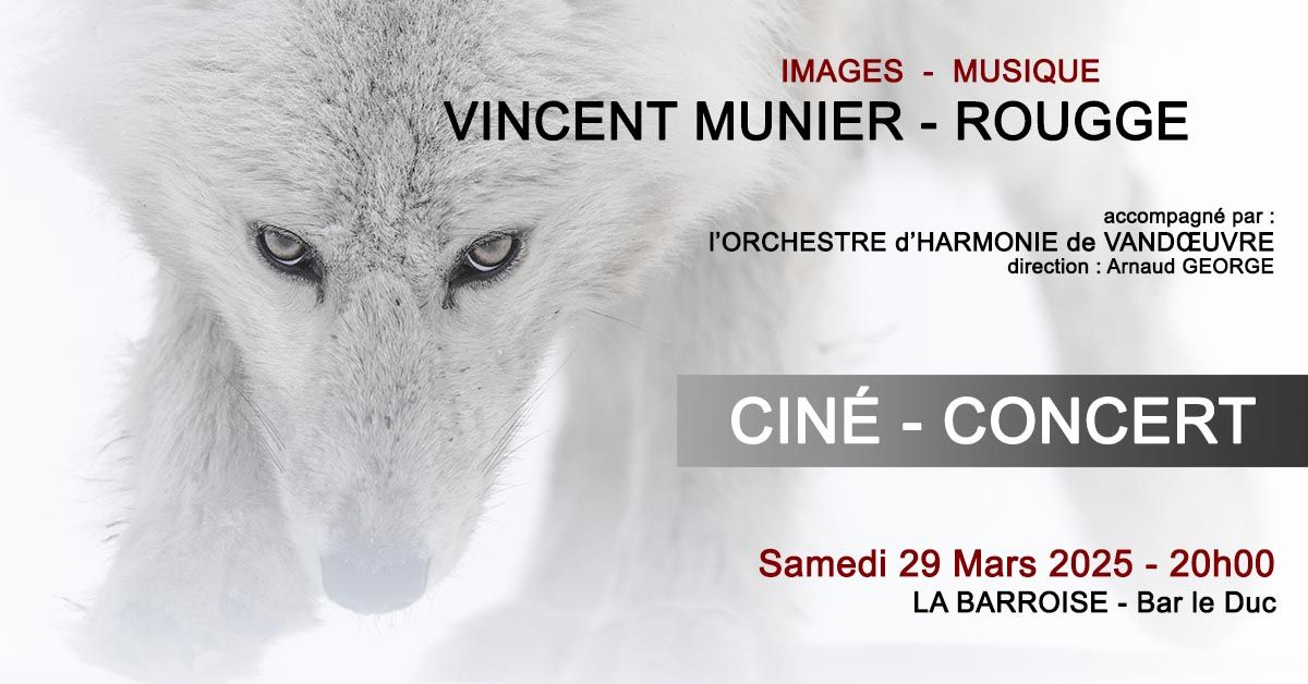 Cin\u00e9-concert - Fragments et Variations Sauvages - Vincent MUNIER x ROUGGE