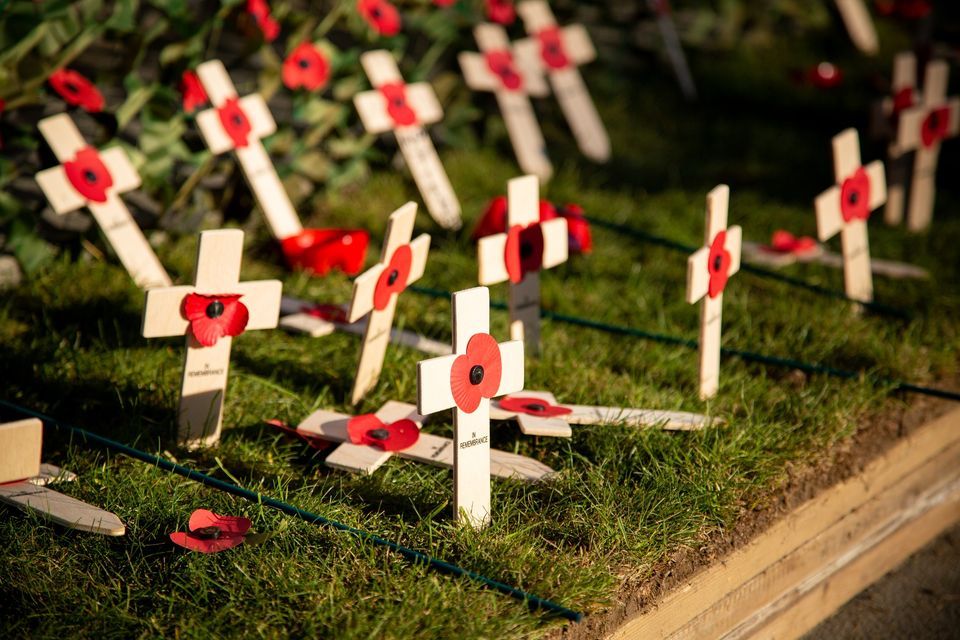 First Poppy Laying of the First Poppy Service, The Cenotaph, Middlesbrough, 10 ...