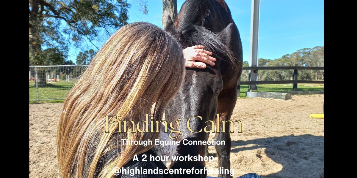 FINDING CALM through equine connection