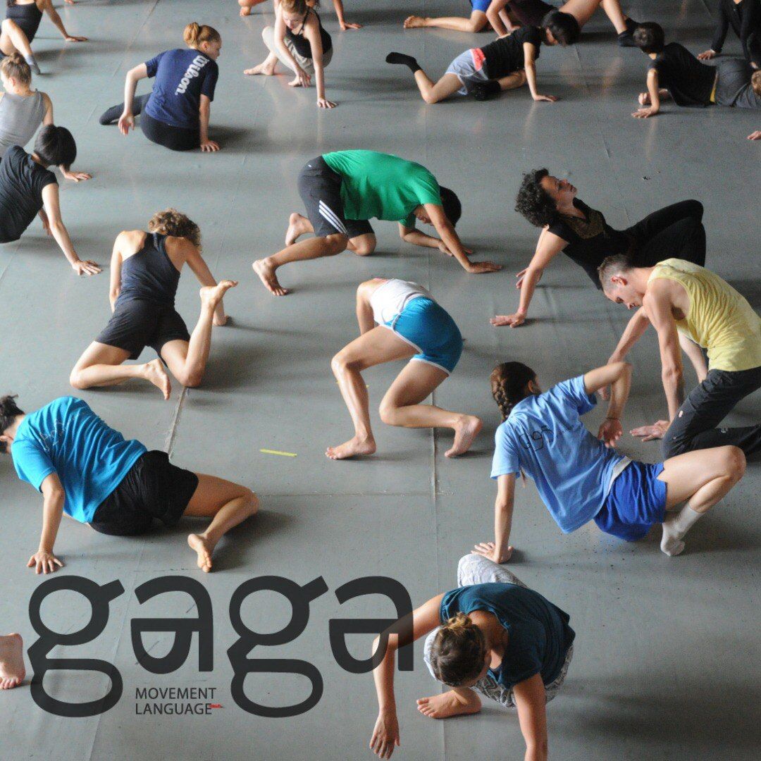 GAGA\/people CLASSES  @Studio Corpo w\/ Smadar Goshen