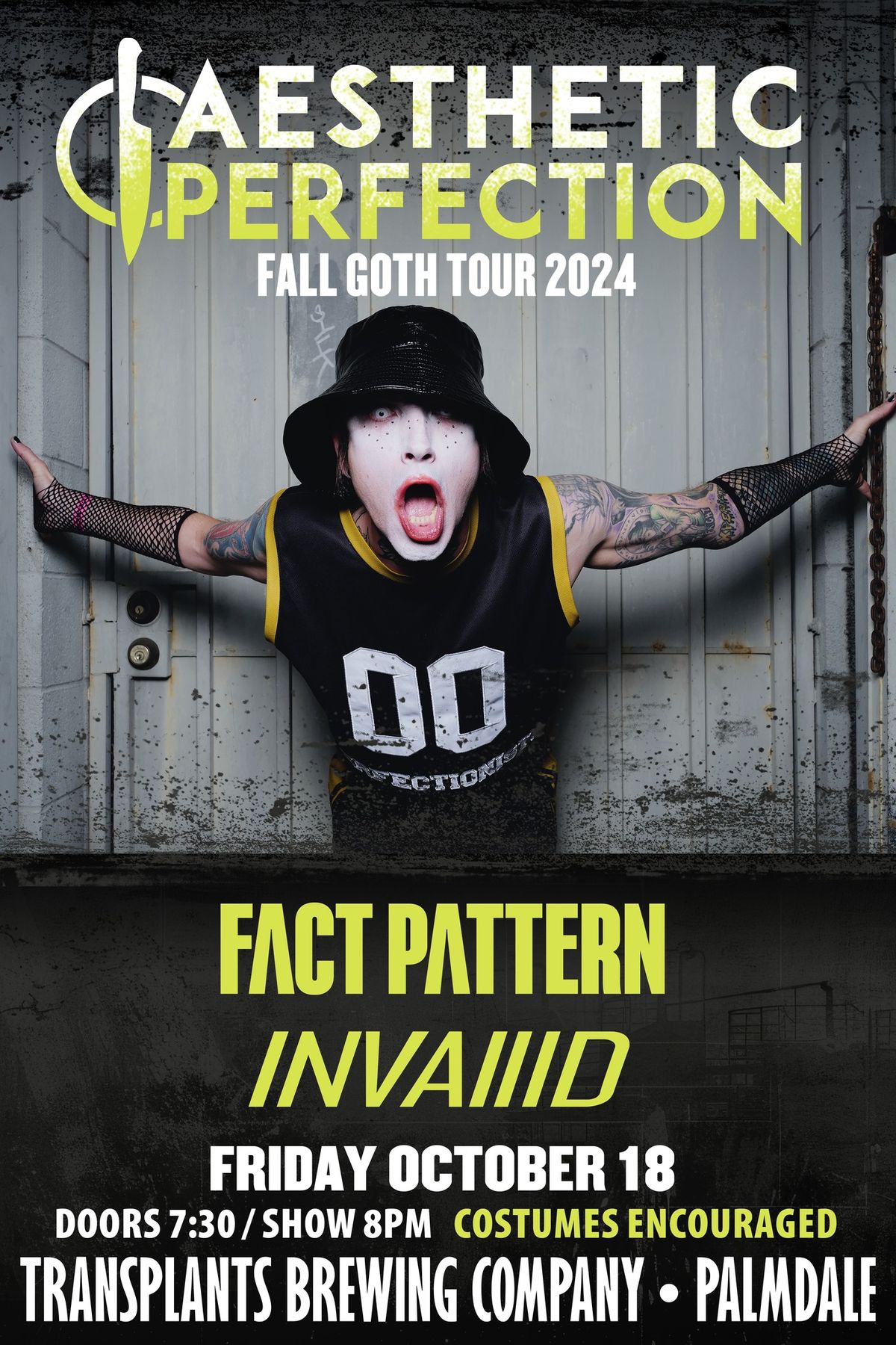 Aesthetic Perfection Fall Goth Tour with Fact Pattern & INVA\/\/ID