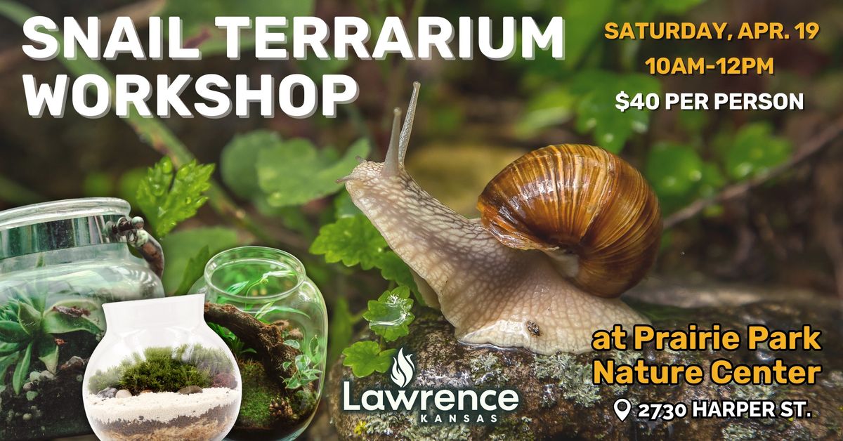 Snail Terrarium Workshop