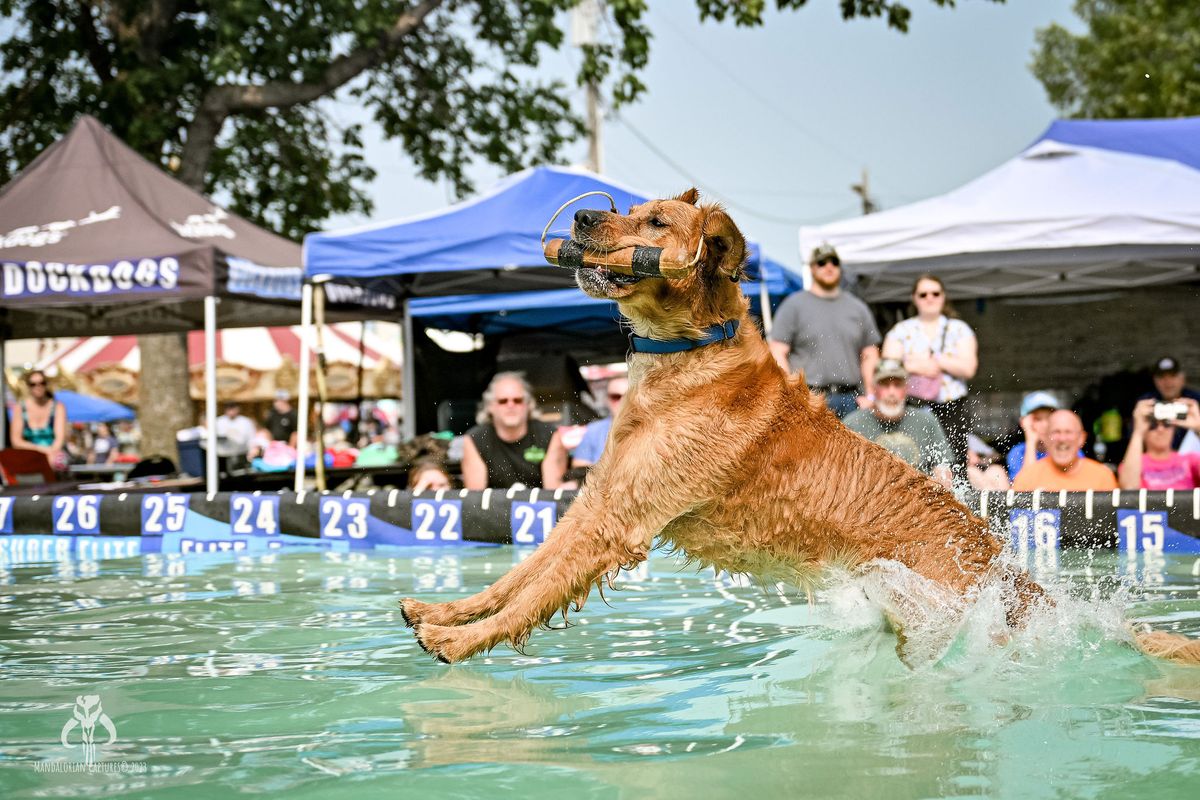 DockDogs\u00ae at Door County Fair