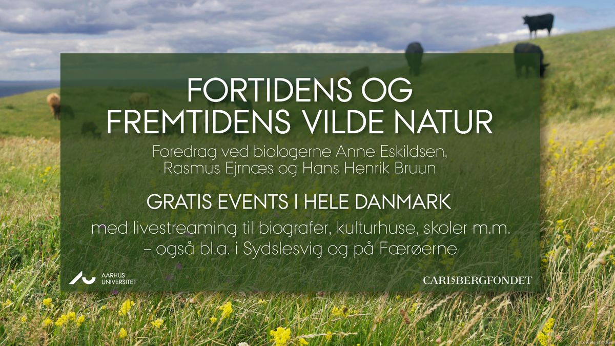 VIN & VIDEN: "Fortidens og fremtidens vilde natur" - gratis foredrag fra Aarhus Universitet