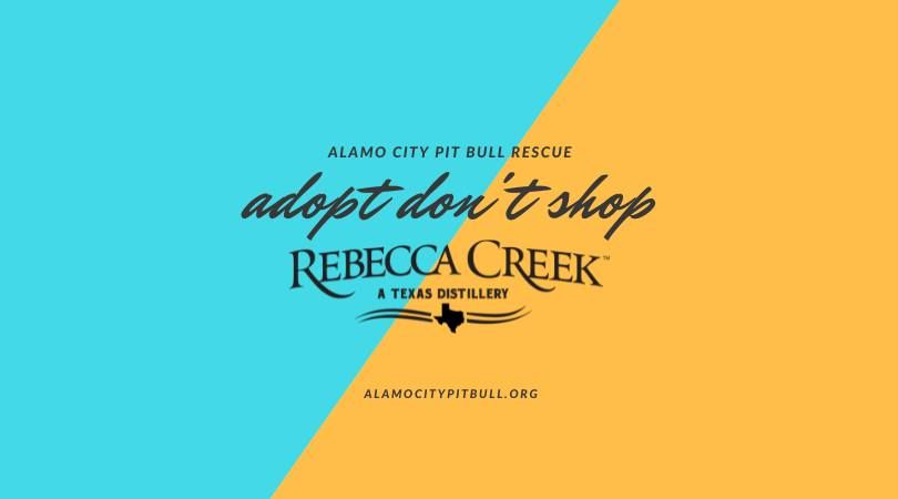 Adoption Day at Rebecca Creek