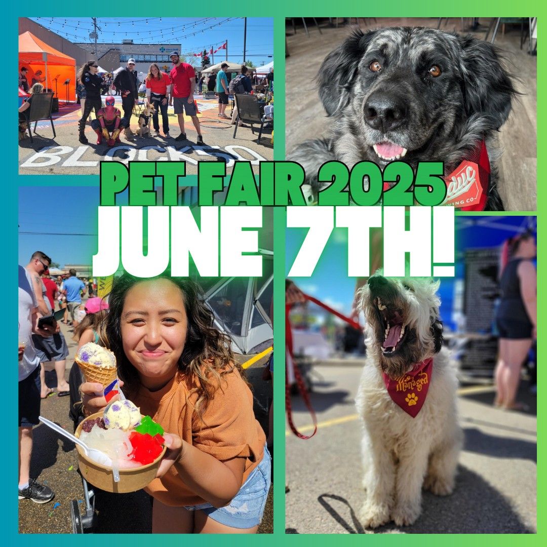 Block50 Pet Fair