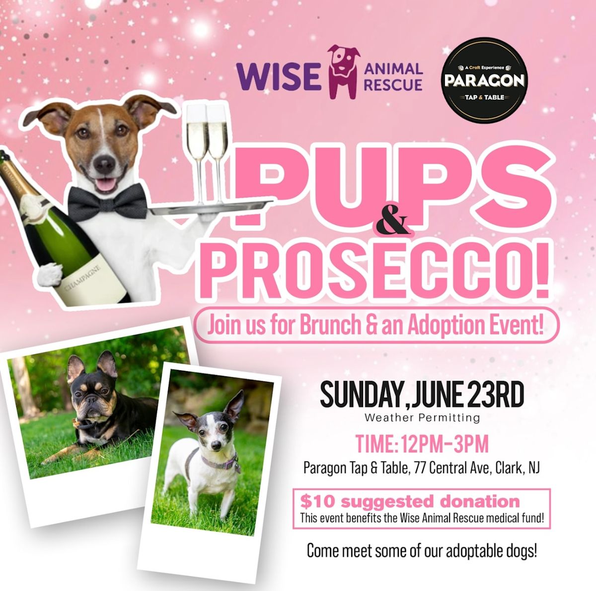 Pups & Prosecco *Cancelled Due to Heat*