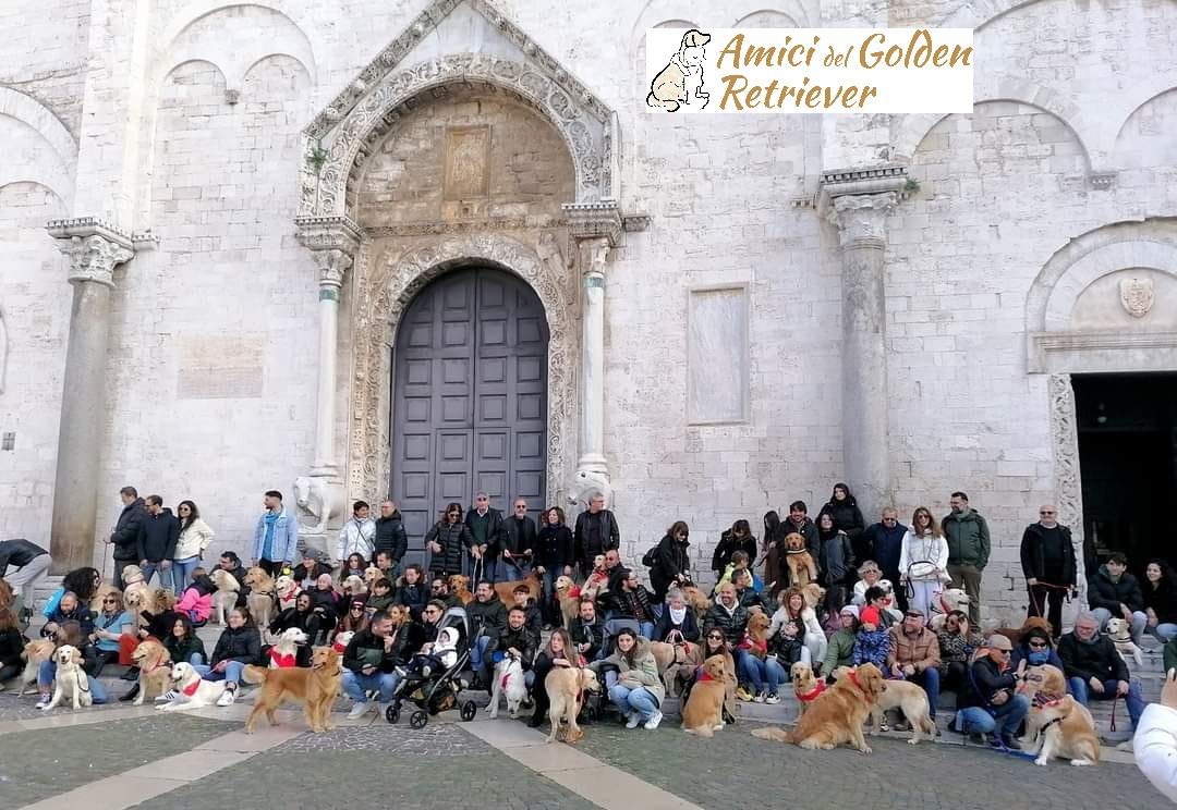 Natale con i Golden Retriever a Bari 2024