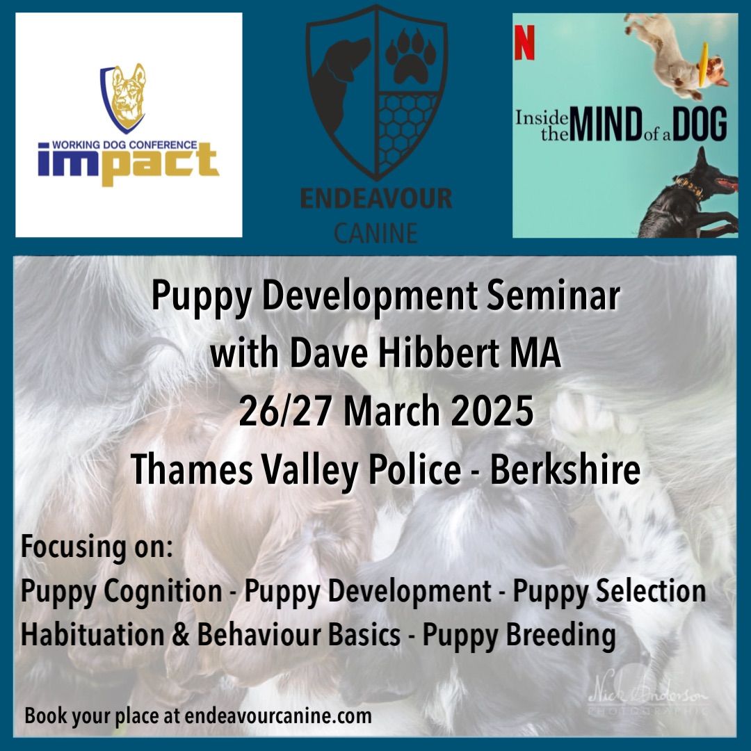 Puppy Development Seminar 