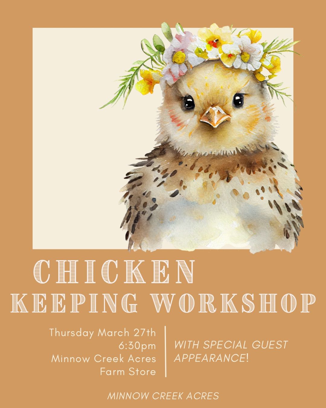 Chicken Keeping Workshop 