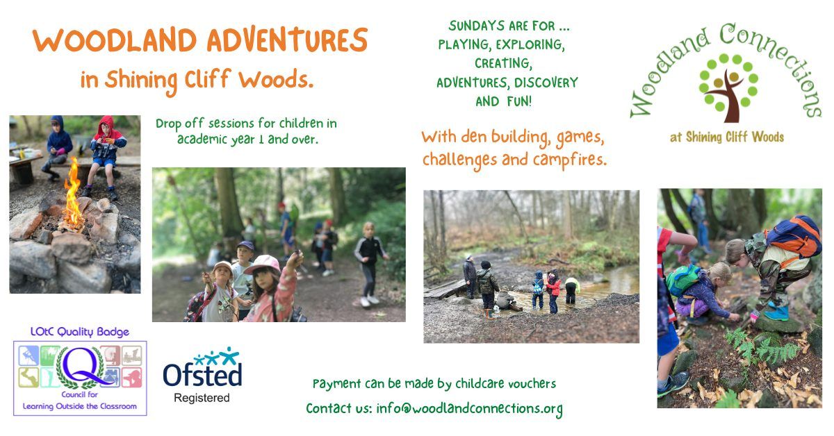 Woodland Adventures for Kids in Shining Cliff Woods