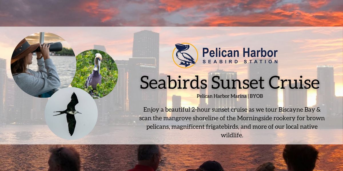 Sunset Seabird Cruise  \ud83c\udf07 