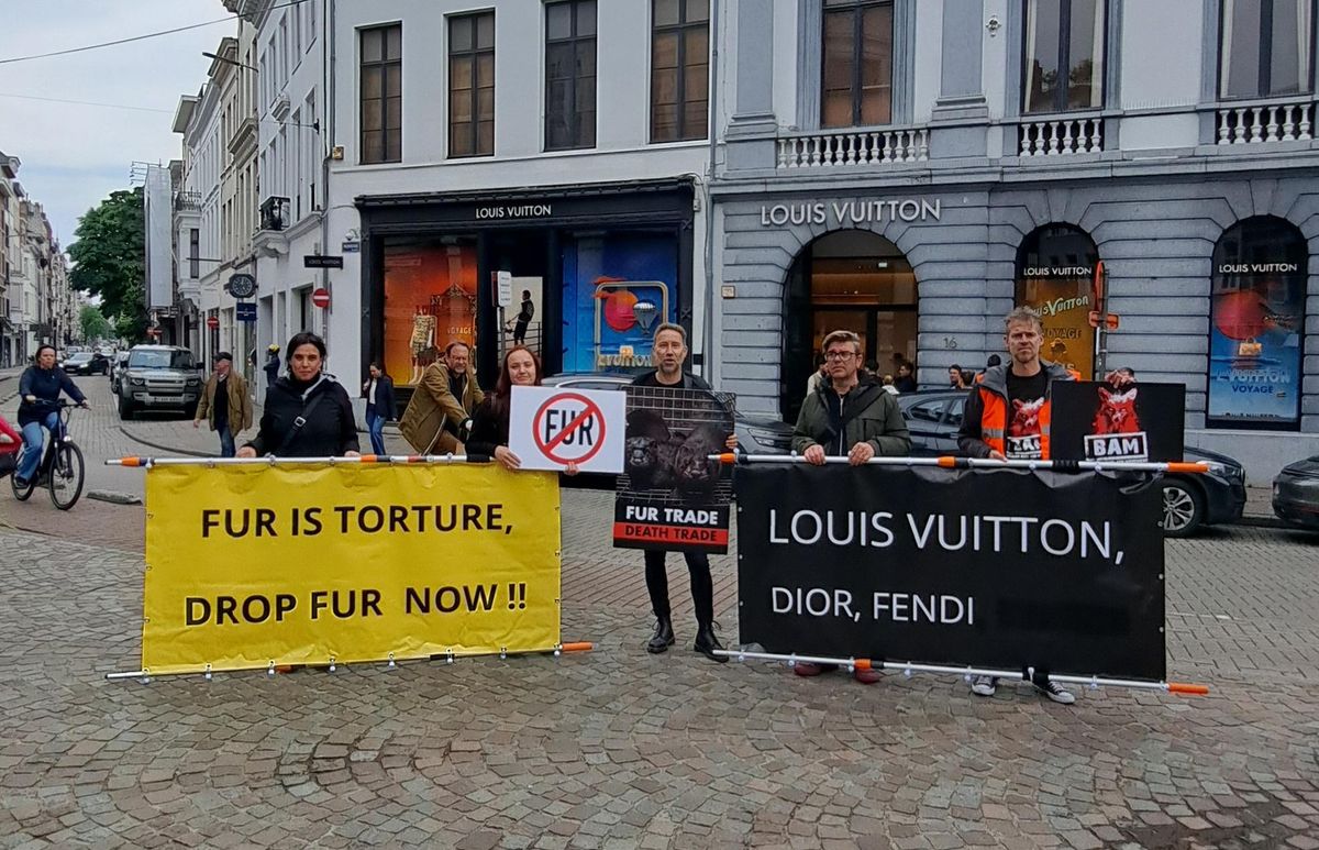 Anti-fur protest at Louis Vuitton Antwerp