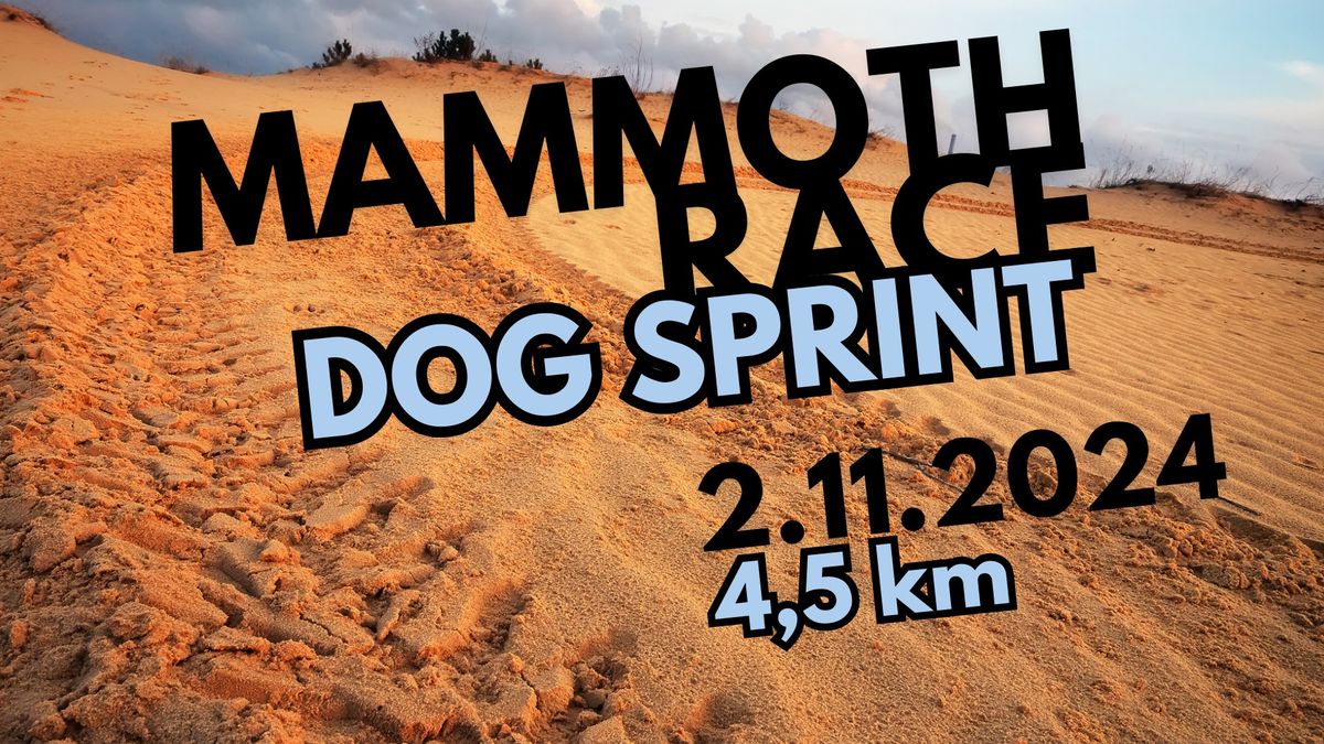 Mammoth Race DOG Sprint 2024