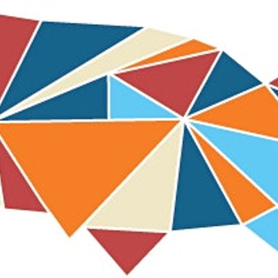 National Association of Nonpartisan Reformers