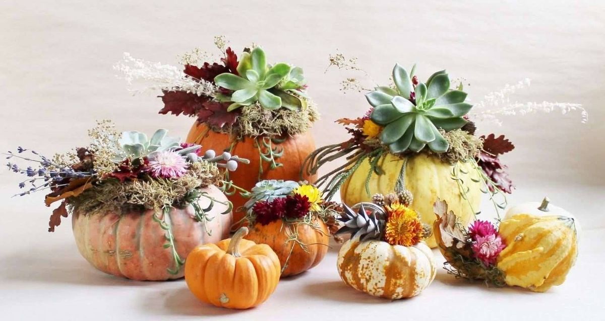 KC's Farm Pumpkin Succulent Workshop