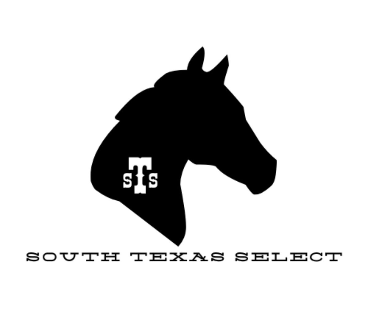 South Texas Select Ranch & Performance Horse Auction 