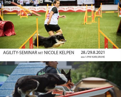 Agility Seminar mit Nicole Kelpen