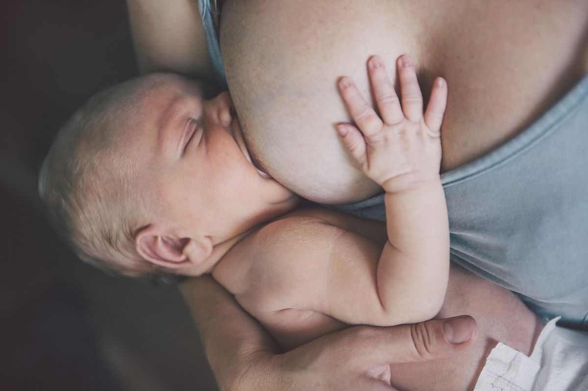 Mother's Group Morning Tea - Breastfeeding Basics After Birth and Beyond - Spring Farm NSW