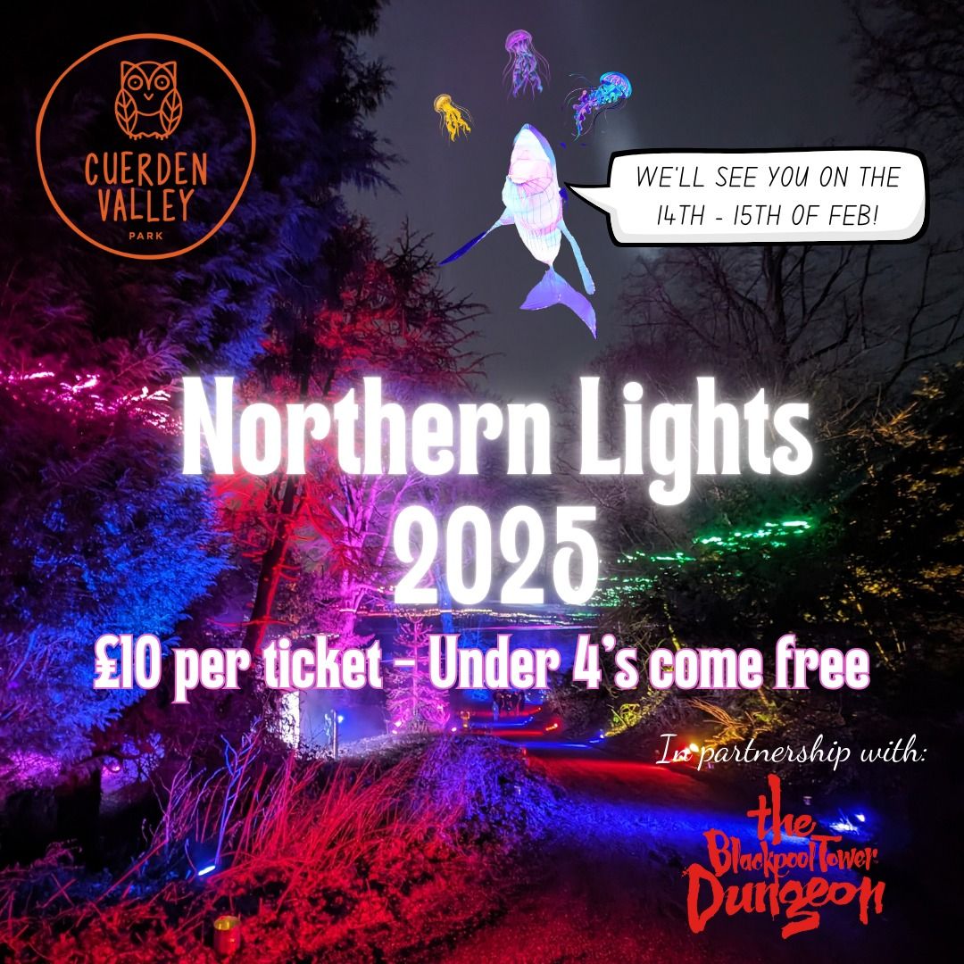 Northern Lights 2025