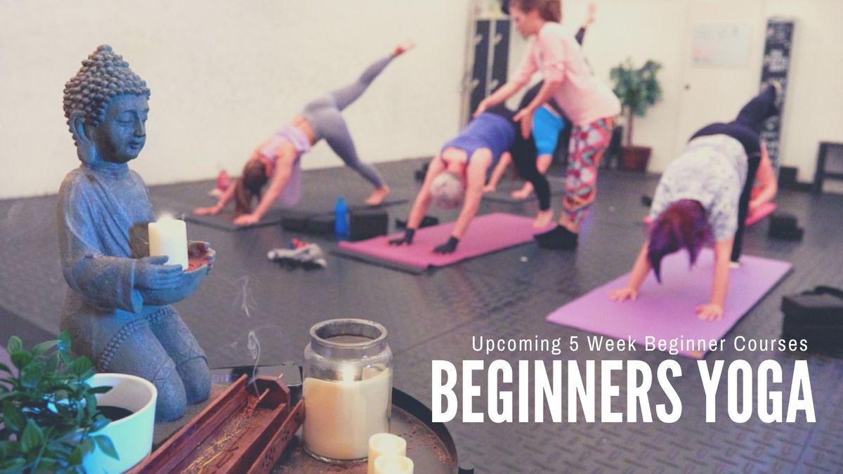 Beginners Yoga (5 week course)