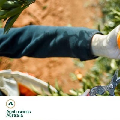 Agribusiness Australia
