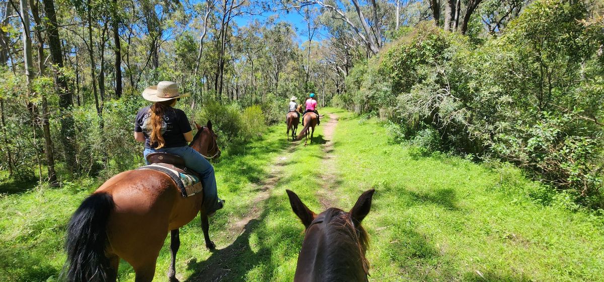 YellowScone Trail Riding\/Confidence Camp!