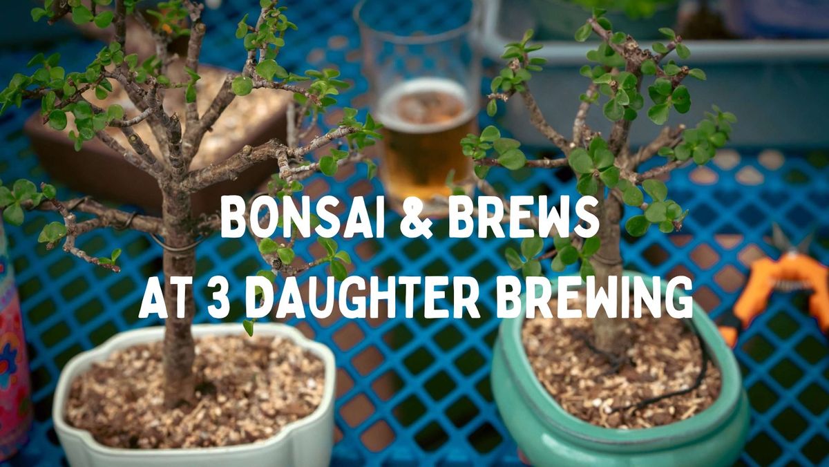 Bonsai & Brews at 3 Daughters Brewing | St. Pete