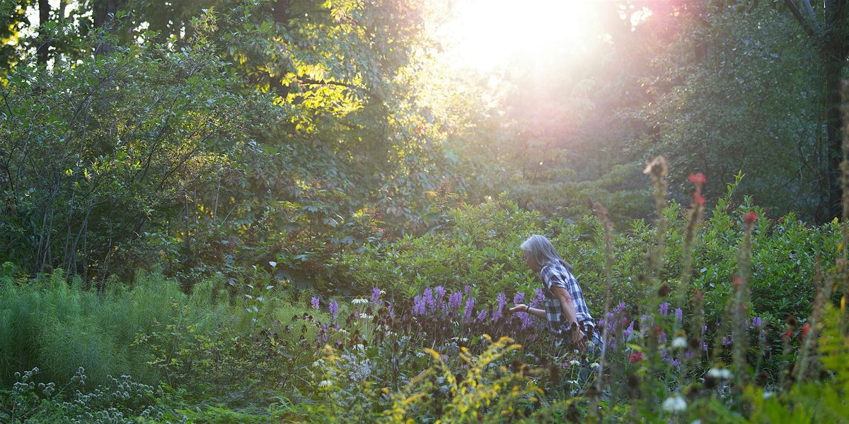 Mindfulness Meditation Walk (2\/14)