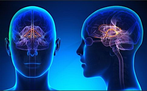 Santa Clara Valley Medical Center Neurosurgery Symposium