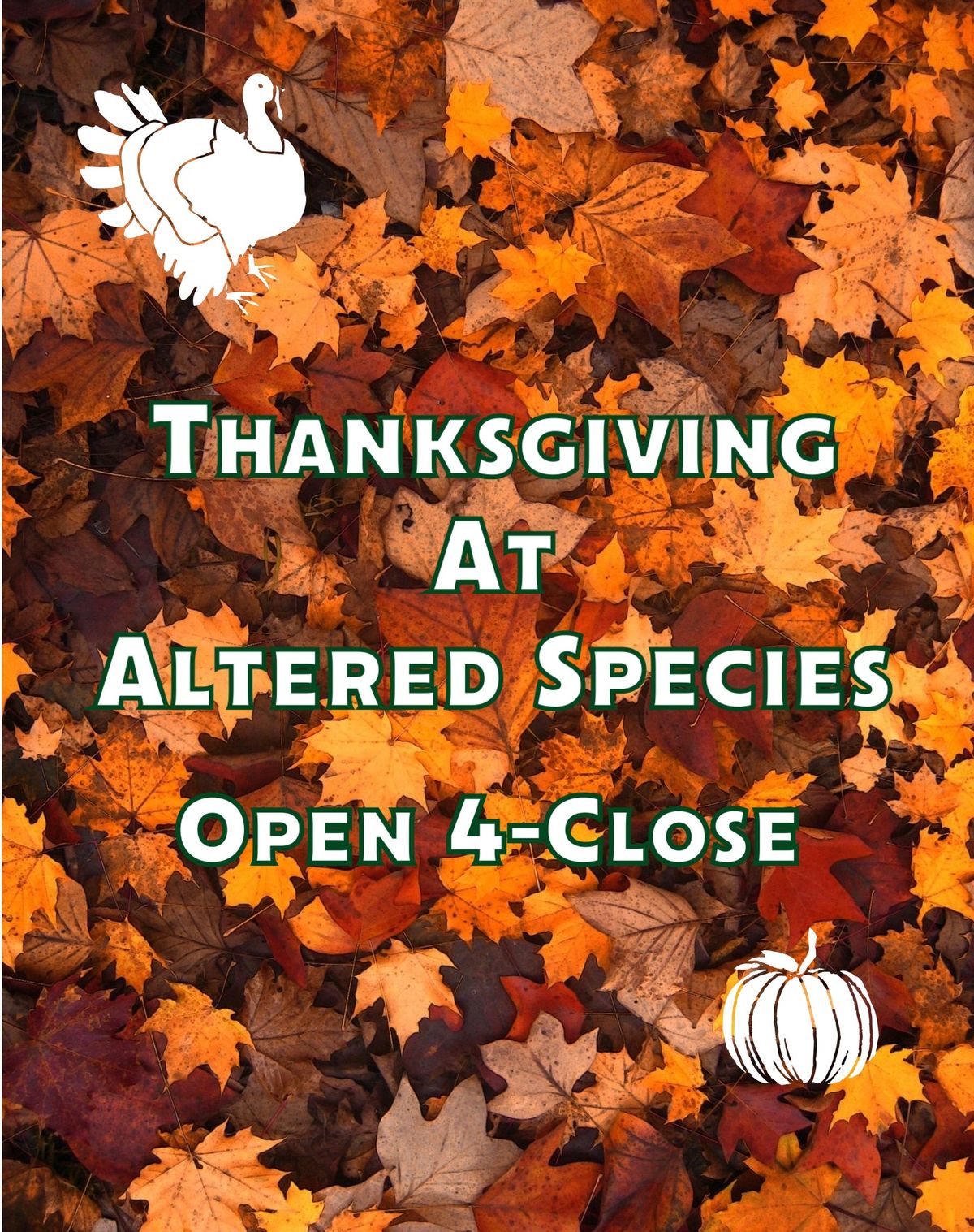 Thanksgiving at Altered Species