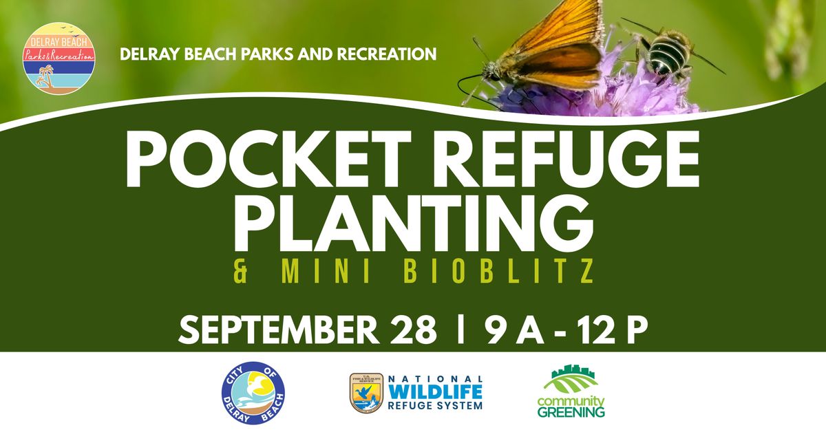 Pocket Refuge Planting & Mini BioBlitz