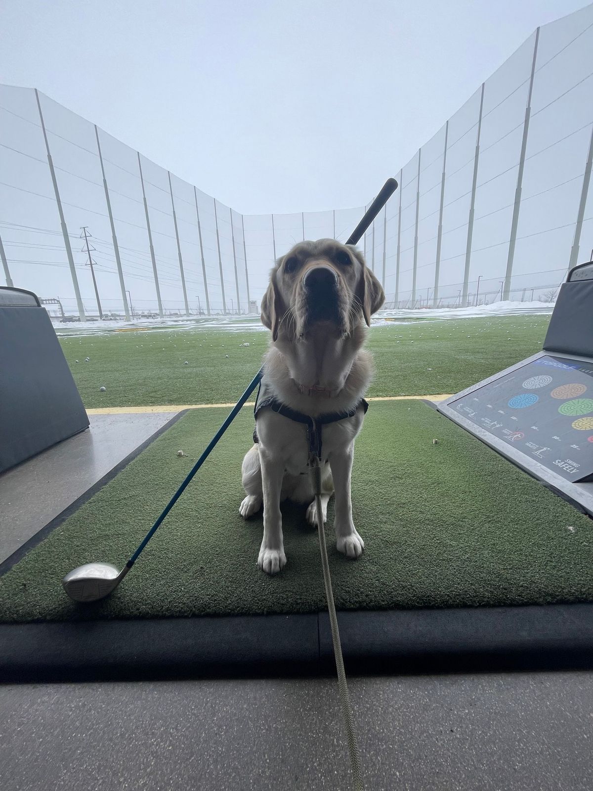 2024 Canine Partners of the Rockies Charity Golf Tournament