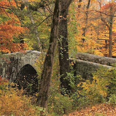 Rockefeller State Park Preserve