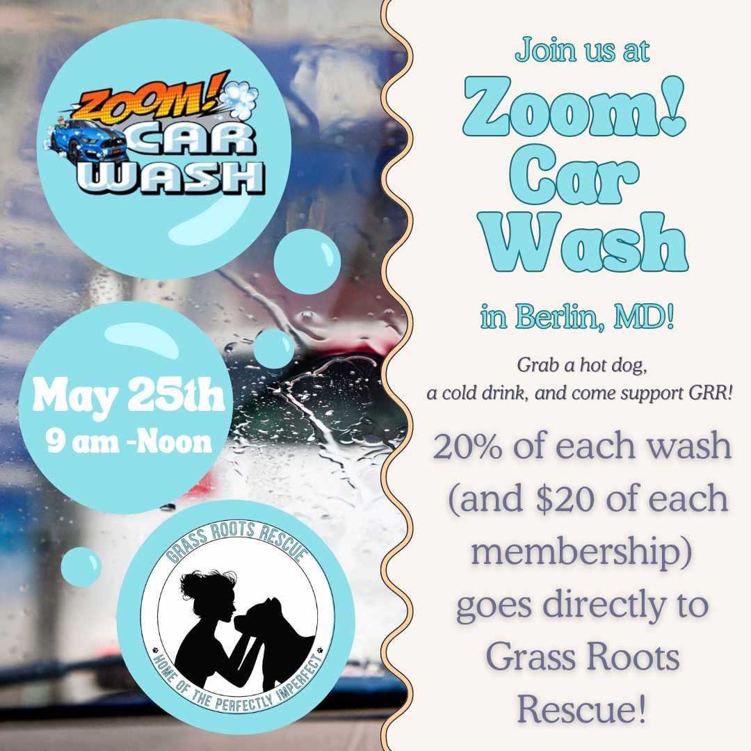Zoom Carwash Fundraiser