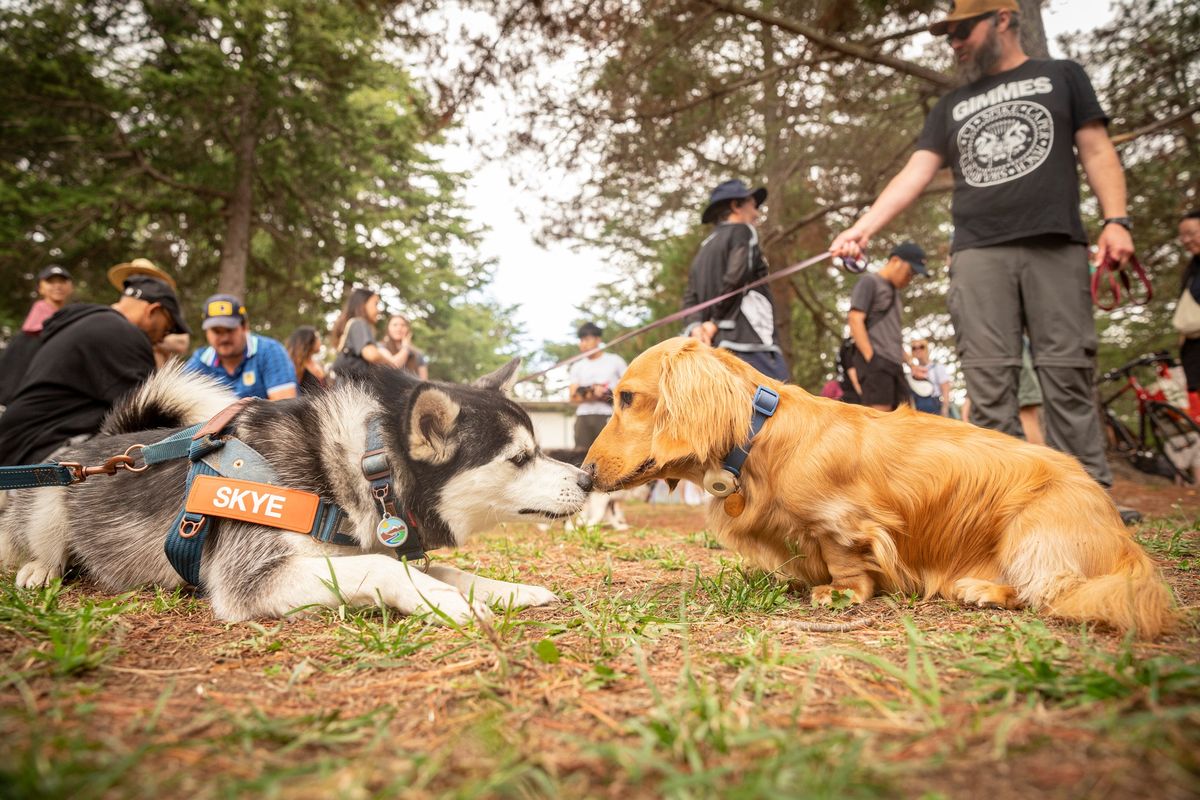 Canberra Valentine's Paws Party: Sniff Right