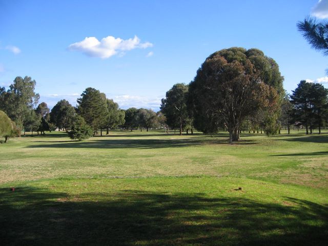 Gulgong Golf Club Open