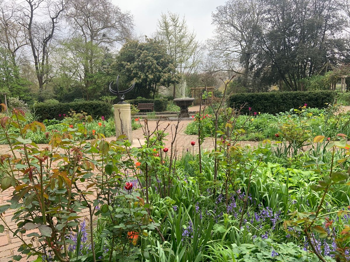 Thrive Battersea Gardening for Health Open Day