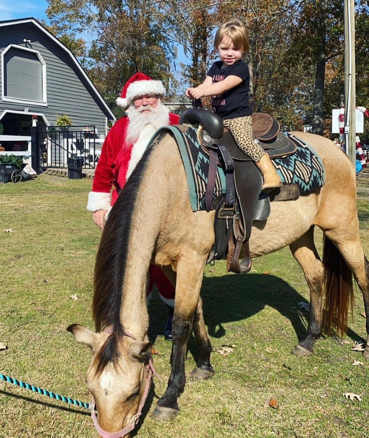 Christmas on the farm \ud83c\udf85\ud83c\udf84\ud83d\udc37\ud83d\udc2e\ud83e\udd20