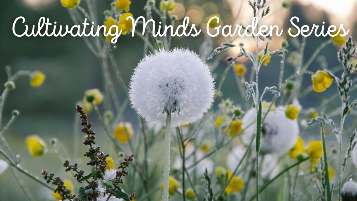 Cultivating Minds Garden Series: Weeds or Wildflowers