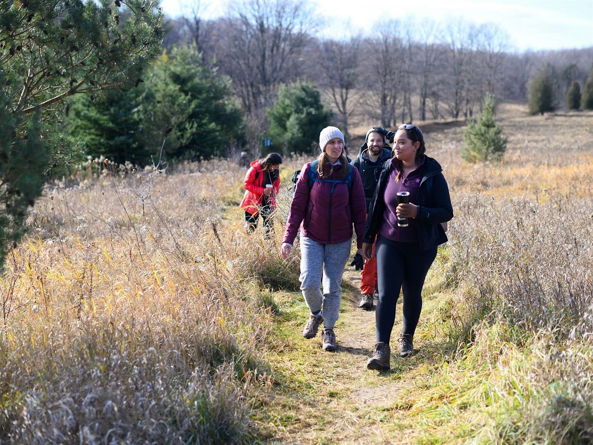 Wild Toronto: Into the Ravines