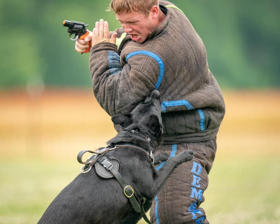 K9 360 Working Dog Group WDA Trial