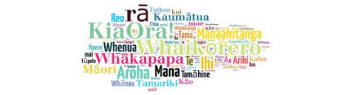 Ko te reo me \u014dna tikanga - a FREE 9 week course