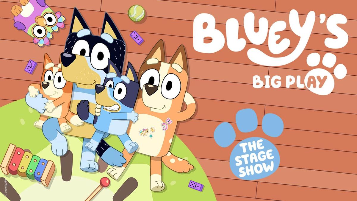 Bluey's Big Play