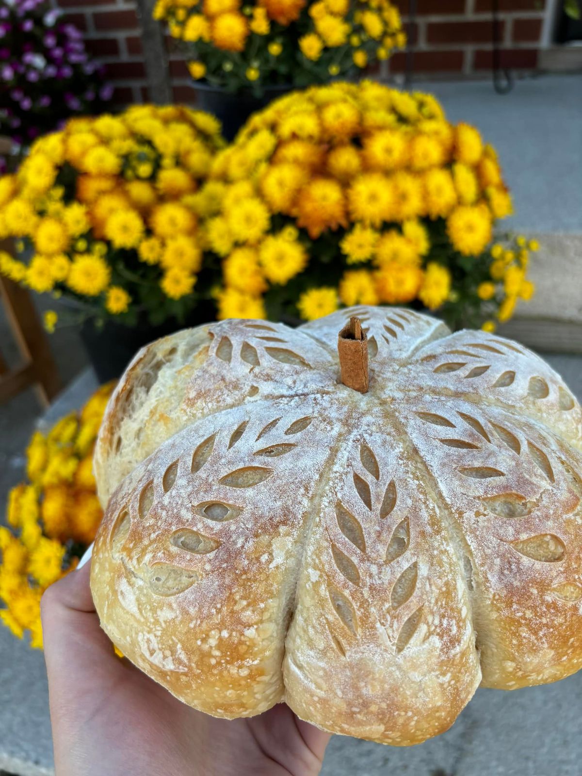 Sara's Sourdough Thanksgiving Pickup Day