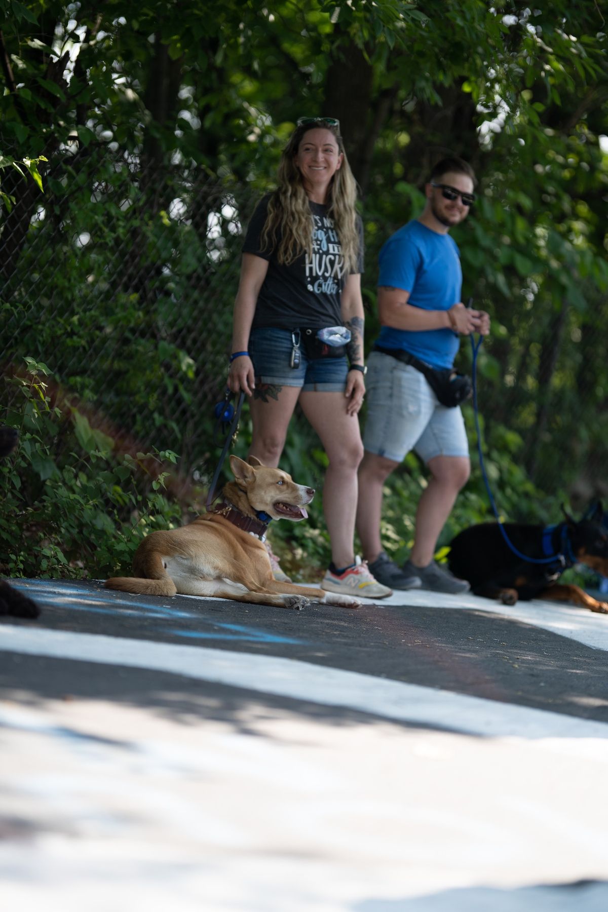 Dog Training at Carnegie Park