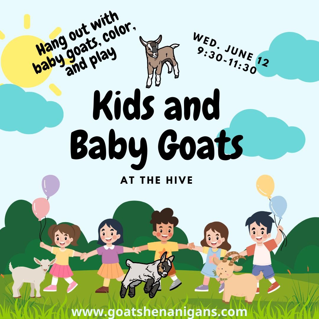 Kids and Baby Goats @ The Hive (Austin)