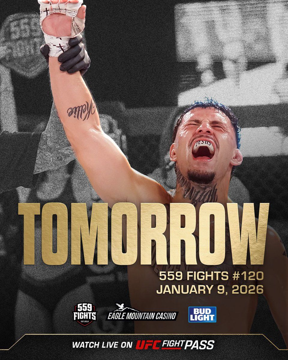 UFC 330